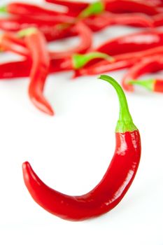 Red hot chili pepper on white background