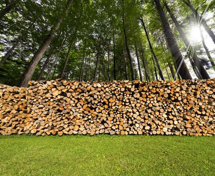 Dry chopped firewood logs in a pile in a green forest