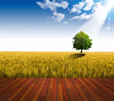Wooden floor over yellow wheat field with green tree under blue sky background