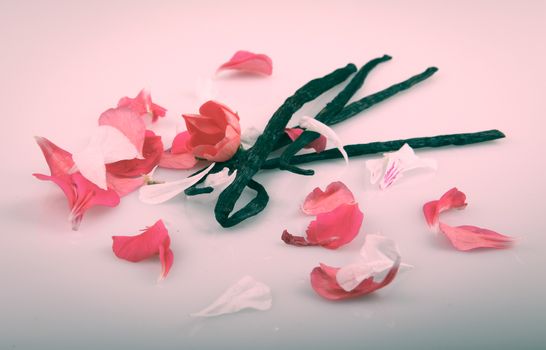 Vanilla Bean And Flower