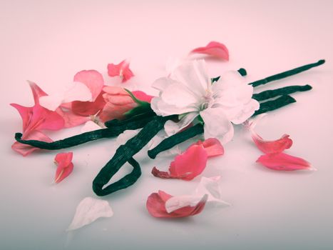 Vanilla Bean And Flower