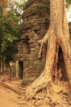 Ta Promh temple, Angkor area, Siem Reap, Cambodia