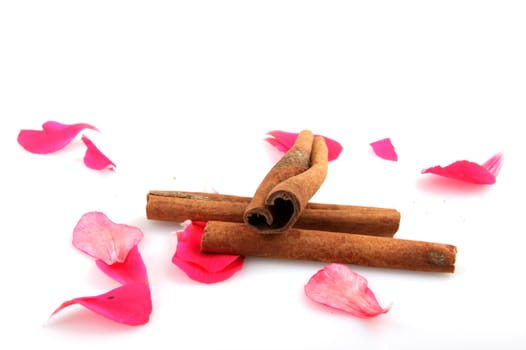 Cinnamon Isolated On White