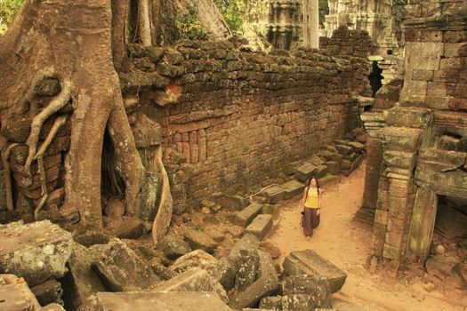 Ta Promh temple, Angkor area, Siem Reap, Cambodia