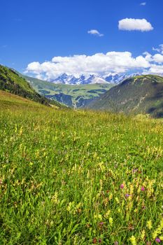 Vertical view of french Alps in summer