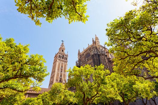 Cathedral and GIralda Tower, Seville, Spain