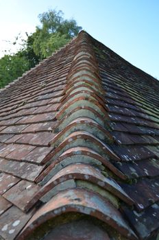 Close up of a roof showing the clay tiles in detail.