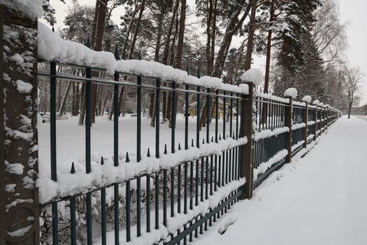 Snow in the city park. A snowy fence