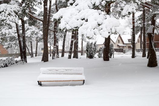 Snow in the city park. With snow covered bench