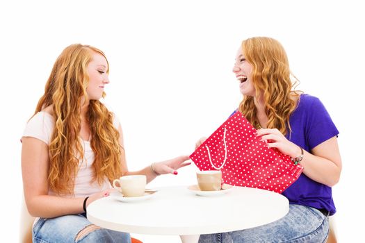 jealous woman looking at the shopping bag of her happy friend on white background