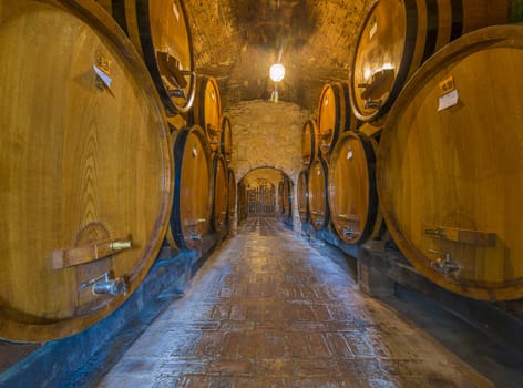 oak wine barrels stacked in a winery cellar