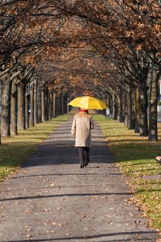 Elderly woman in the fall park with yello umbrella