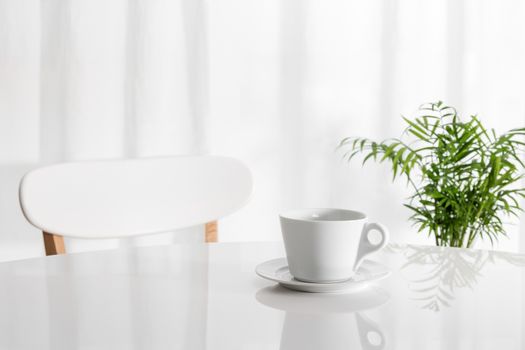 White cup on the kitchen table, with green plant in the background.