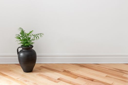 Amphora with green plant decorating an empty room.