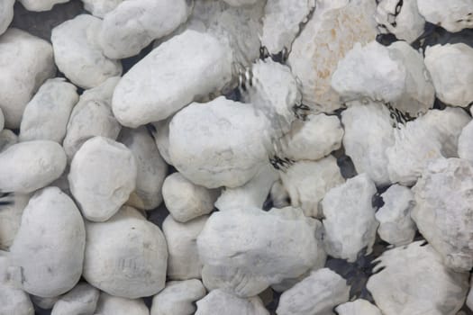 A picture of a bunch of white stones in shallow water