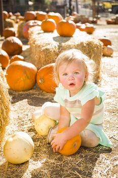 Adorable Baby Girl Holding a Pumpkin in a Rustic Ranch Setting at the Pumpkin Patch.
