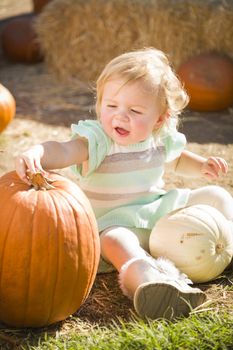 Adorable Baby Girl Holding a Pumpkin in a Rustic Ranch Setting at the Pumpkin Patch.

