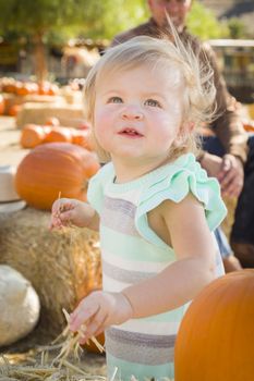 Adorable Baby Girl Having Fun in a Rustic Ranch Setting at the Pumpkin Patch.
