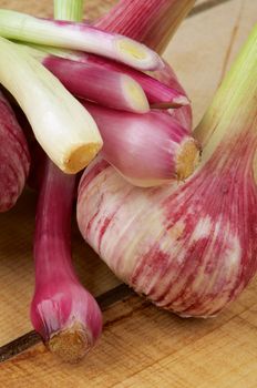 New Harvest Garlic and Pink Onion closeup on Wooden background