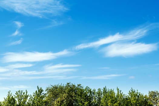 Beautiful spring sky with white clouds and space for text
