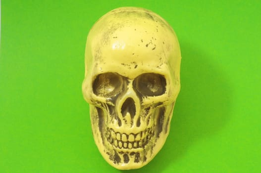 An Ancient Yellow Skull  on a Colored Background