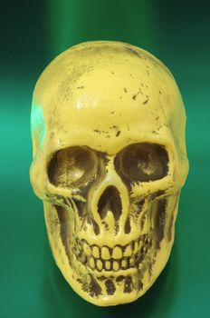 An Ancient Yellow Skull  on a Colored Background