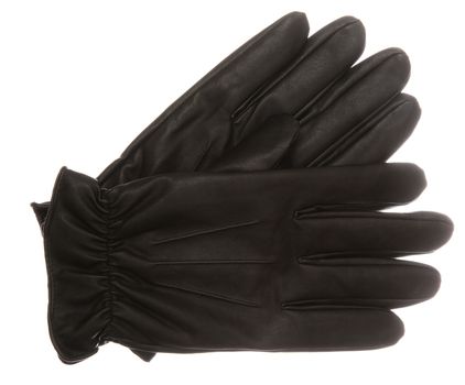 Formal Gloves on white background