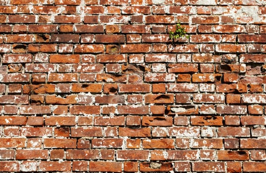 Fragment of weathered red brick wall background