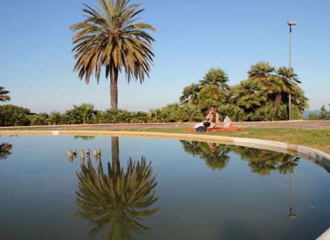 Palm tree reflected in the pond. The girl at the picnic on the phone.