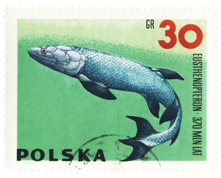 POLAND - CIRCA 1966: stamp printed in Poland shows a prehistoric fish Eusthenopteron, series "Zoolith", circa 1966
