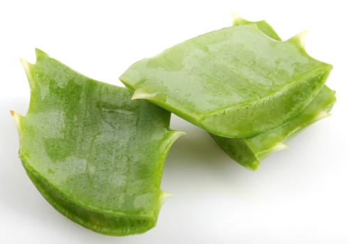 Aloe Vera Plant Isolated On White