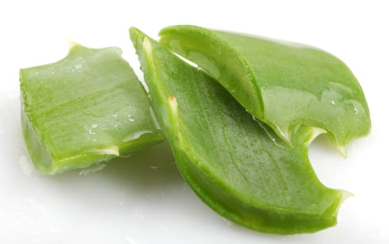 Aloe Vera Plant Isolated On White