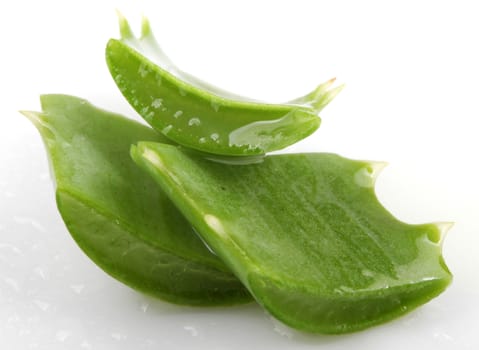 Aloe Vera Plant Isolated On White