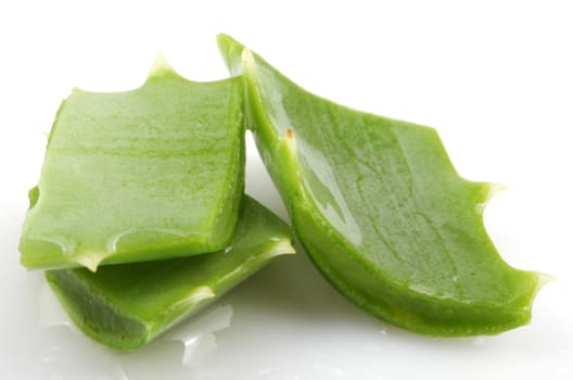 Aloe Vera Plant Isolated On White