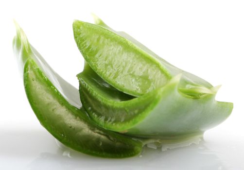 Aloe Vera Plant Isolated On White