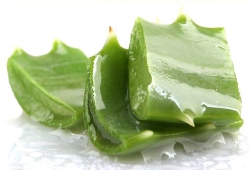 Aloe Vera Plant Isolated On White