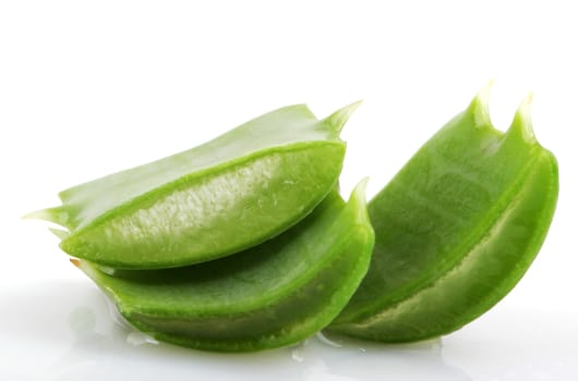 Aloe Vera Plant Isolated On White