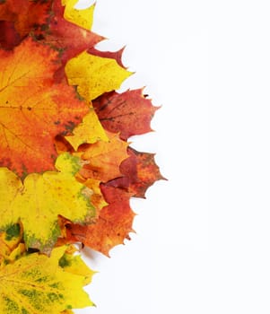 autumn leaves with space for your text