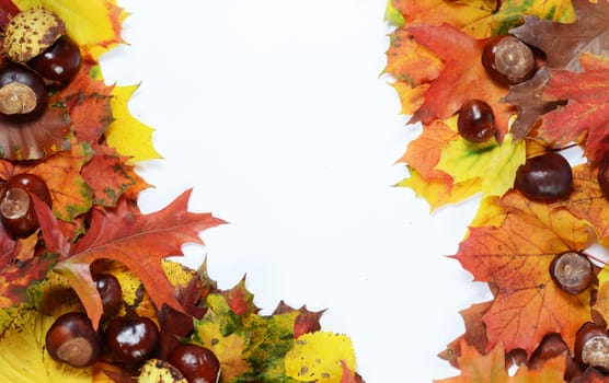 autumn frame