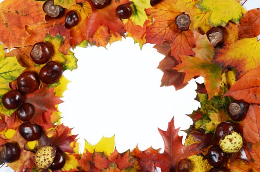 autumn frame