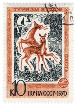 USSR - CIRCA 1970: A stamp printed in the USSR, shows deers, devoted to hunting in Russia, series 'Tourism in USSR', circa 1970