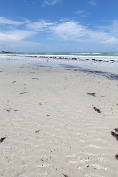 Siesta Key Beach is located on the gulf coast of Sarasota Florida with powdery sand. 