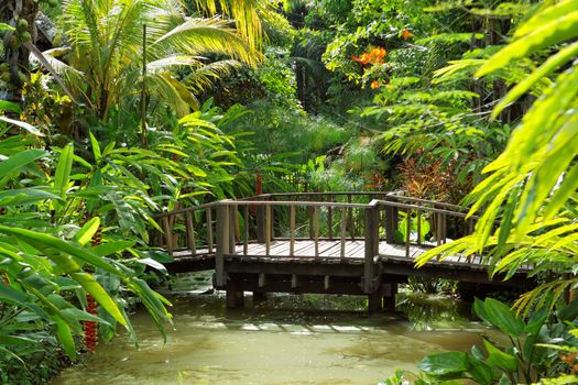 wood bridge 