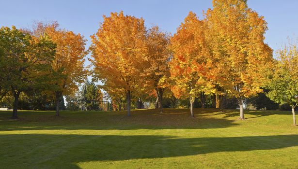 Public park panorama in Autumn colors Gresham OR.