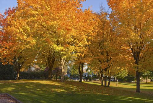 Public park in Autumn colors Gresham OR.