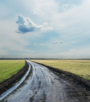 wet country road under cloudy sky