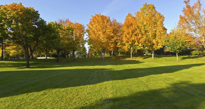 Public park panorama in Autumn colors Gresham OR.