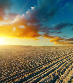 ploughed field and sunset