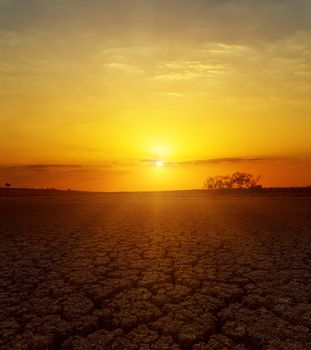 fantastic sunset over desert