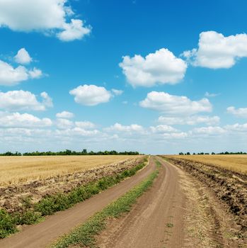 country road in field and clouds in blue sky